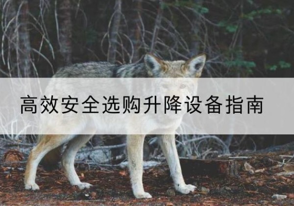鼓楼升降货梯厂家推荐-*安全选购升降设备指南